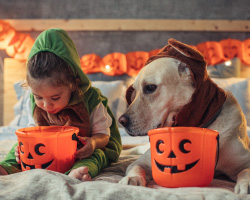 A young girl and a dog sit on a bed with Halloween candy buckets