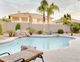 A pool area with plants and palm trees.